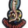 MAIN_COBRA_W